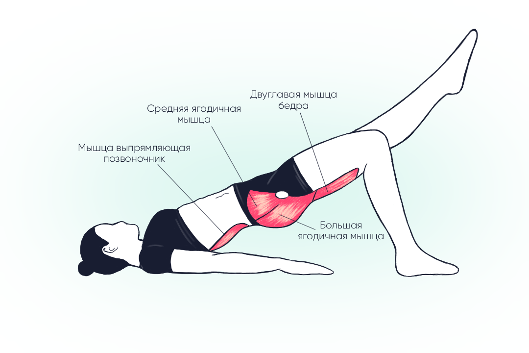 Иллюстрация с мышцами, которые задействованы в упражнении