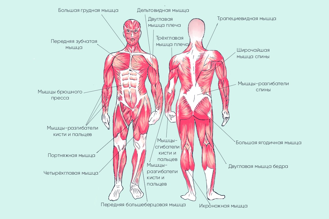 рисунок