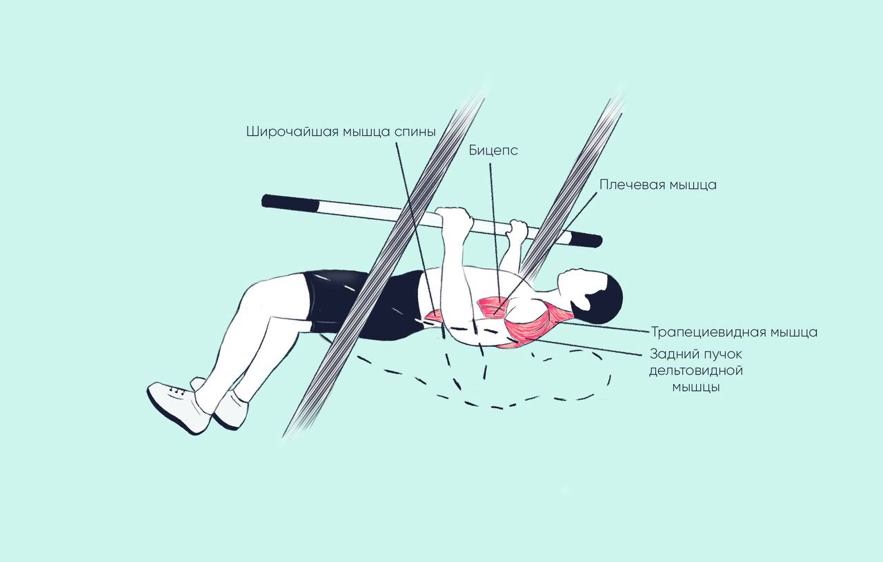 Схема, какие мышцы задействуются при упражнении